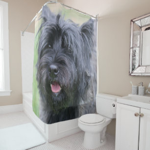 Cairn shower curtain