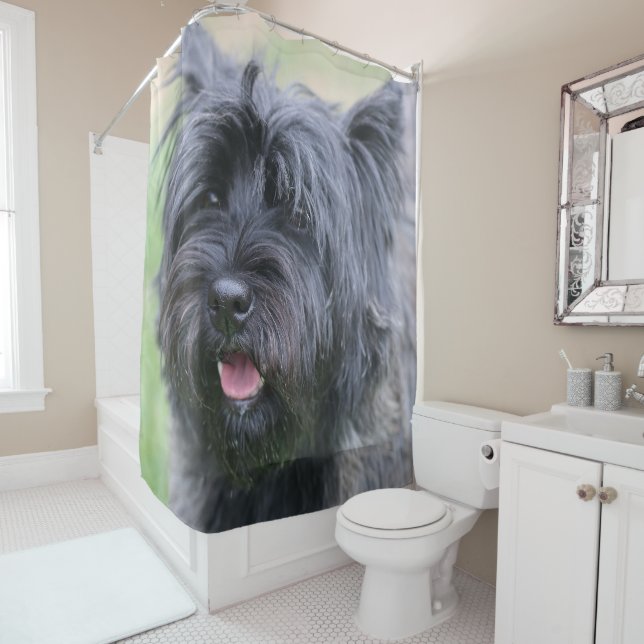 Cairn  shower curtain (In Situ)