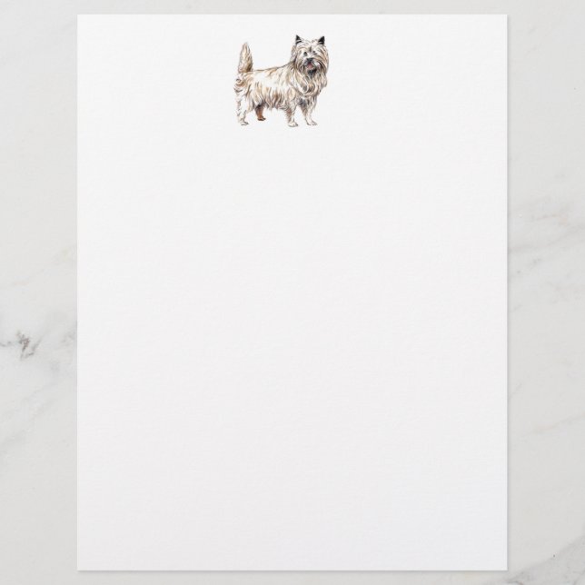 Cairn Terrier (Front)