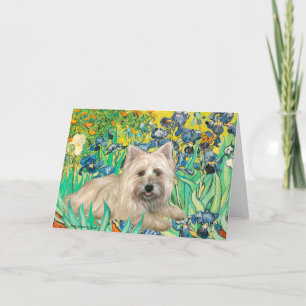 Cairn Terrier 4 - Irises Card