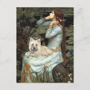 Cairn Terrier 4 - Ophelia Seated Postcard