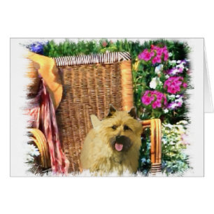 Cairn Terrier Art Gifts