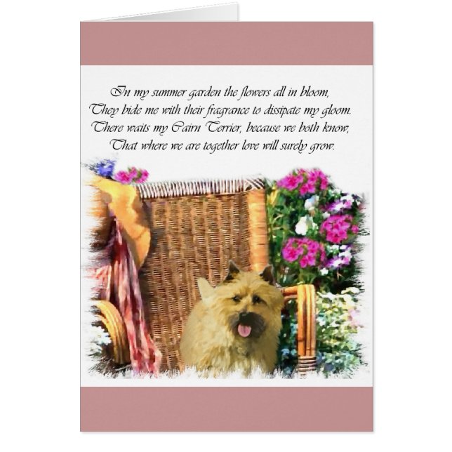 Cairn Terrier Art Gifts (Front)