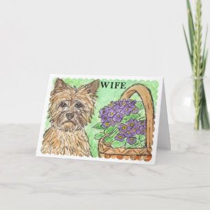 Cairn terrier birthday card WIFE lovely verse f