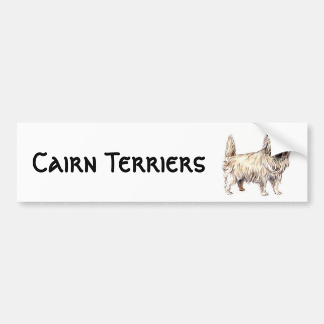 Cairn Terrier Bumper Sticker (Front)