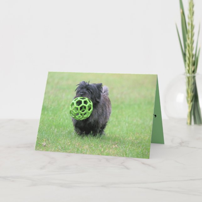 Cairn terrier card (Front)