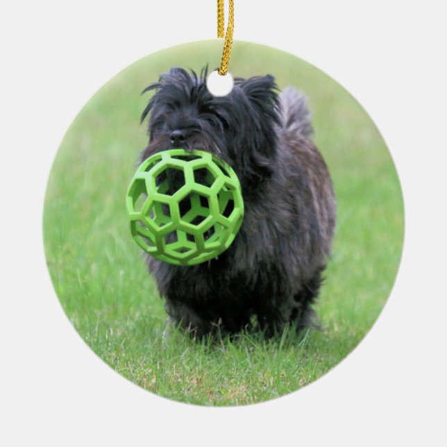 Cairn terrier ceramic ornament (Front)