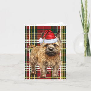 Cairn Terrier Christmas Dog Plaid Christmas Holiday Card