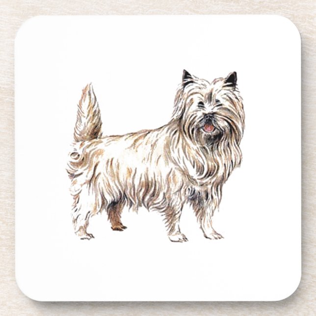 Cairn Terrier Coaster (Front)