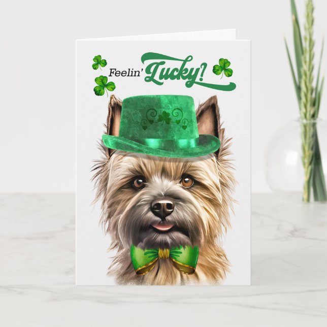 Cairn Terrier Dog Feelin' Lucky St Patrick's Day Holiday Card (Front)