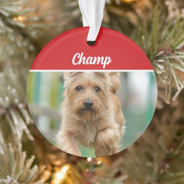 Cairn Terrier Dog Holiday Photo Christmas Ornament (Tree)