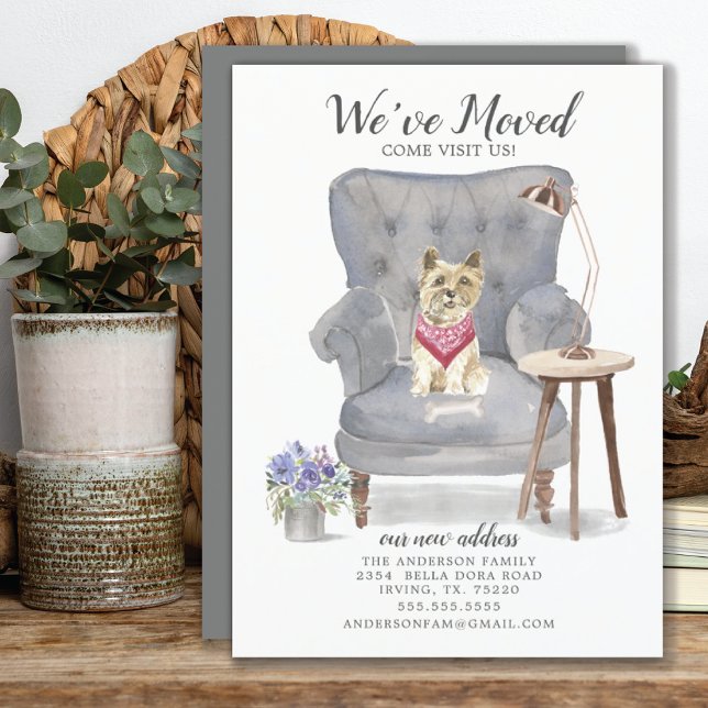 Cairn Terrier Dog | Moving Announcement (Creator Uploaded)