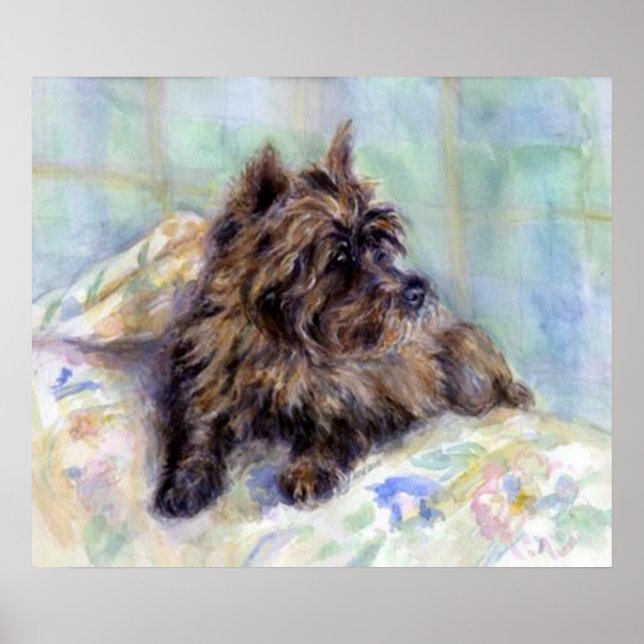 Cairn Terrier Dog Portrait Poster Print (Front)