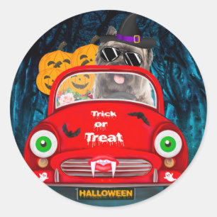 Cairn Terrier Driving Car Scary Halloween Classic Round Sticker