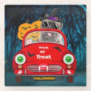 Cairn Terrier Driving Car Scary Halloween Glass Coaster