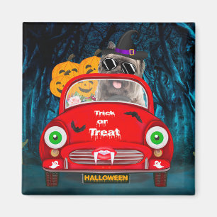Cairn Terrier Driving Car Scary Halloween Magnet