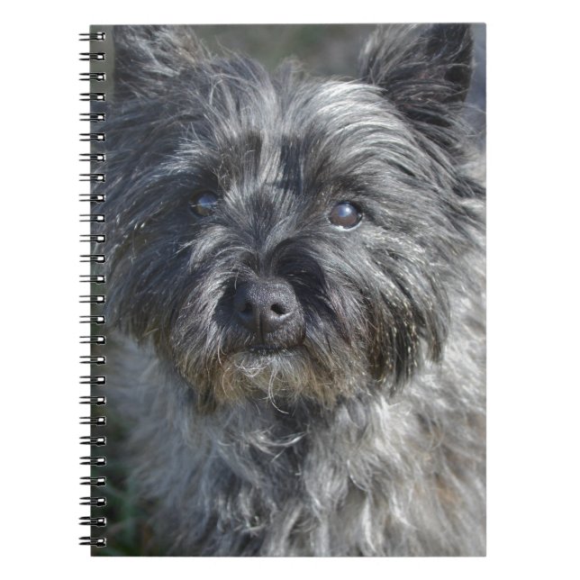 Cairn Terrier Face Notebook (Front)