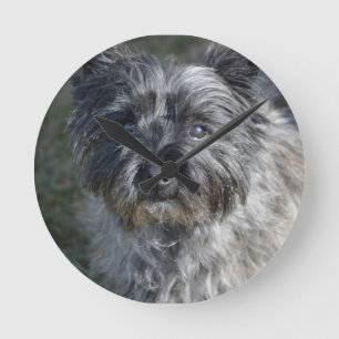 Cairn Terrier Face Round Clock