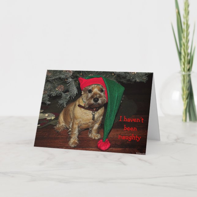 Cairn Terrier Holiday Card (Front)
