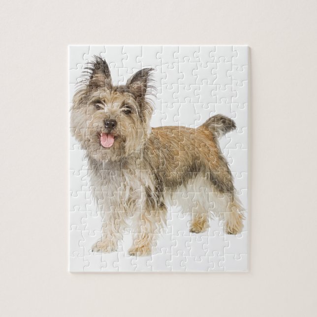 Cairn Terrier Jigsaw Puzzle (Vertical)