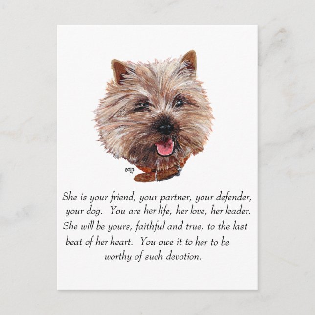 Cairn Terrier Keepsake - FEMALE Postcard (Front)