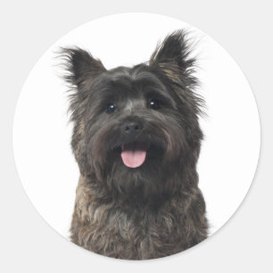 Cairn Terrier Love Puppy Dog Mum Fur Mama Canine Classic Round Sticker