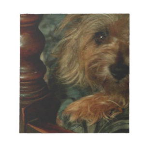 Cairn Terrier Notepad