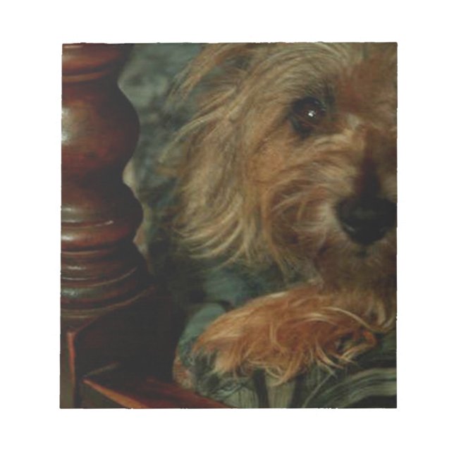 Cairn Terrier Notepad (Front)