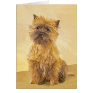 Cairn Terrier Painting - Cute Original Dog Art