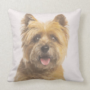 Cairn Terrier Portrait Faux Needlepoint Design Cushion