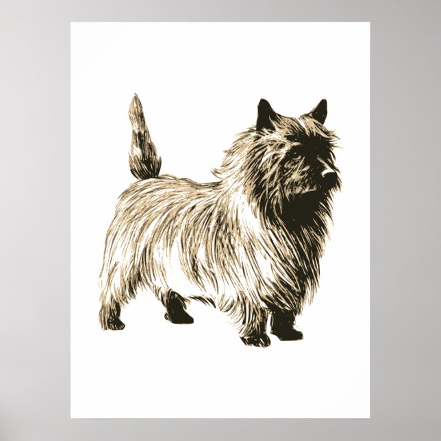 Cairn Terrier Poster (Front)