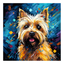  Cairn Terrier