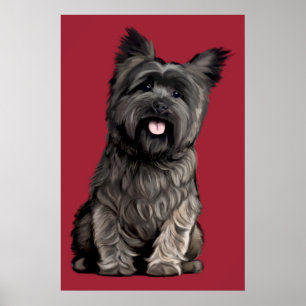Cairn Terrier Poster
