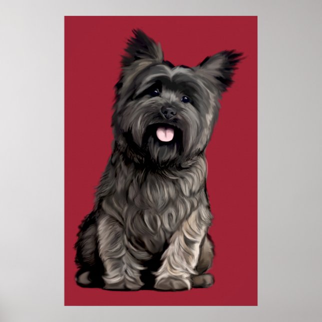 Cairn Terrier Poster (Front)