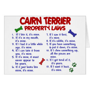 CAIRN TERRIER Property Laws 2