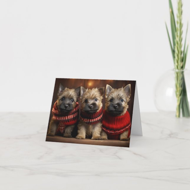 Cairn Terrier Puppies Christmas Card (Front)