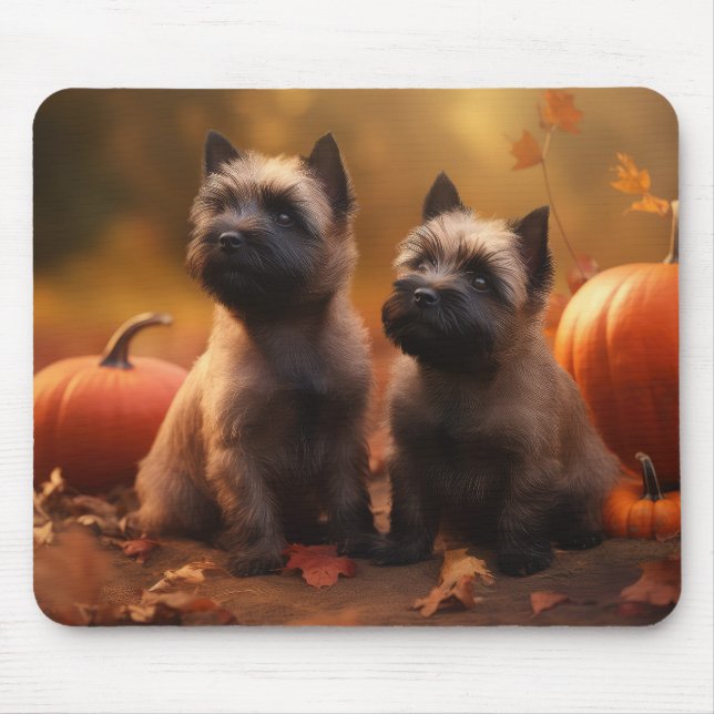 Cairn Terrier Puppy Autumn Delight Pumpkin  Mouse Pad (Front)