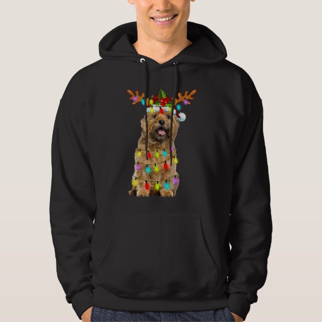 Cairn Terrier Reindeer Christmas Lights Funny Dog  Hoodie (Front)