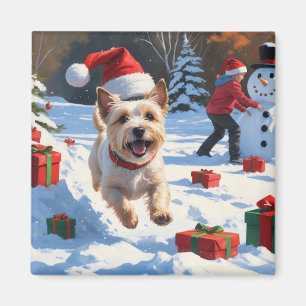 Cairn Terrier Running in Snow with Christmas Hat Magnet