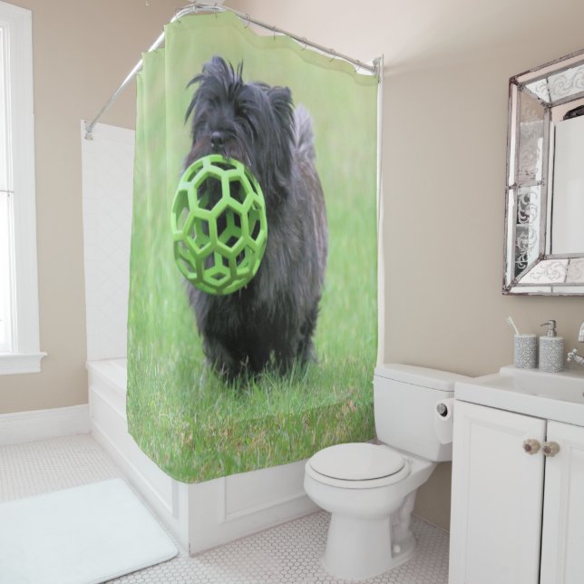 Cairn terrier shower curtain (In Situ)
