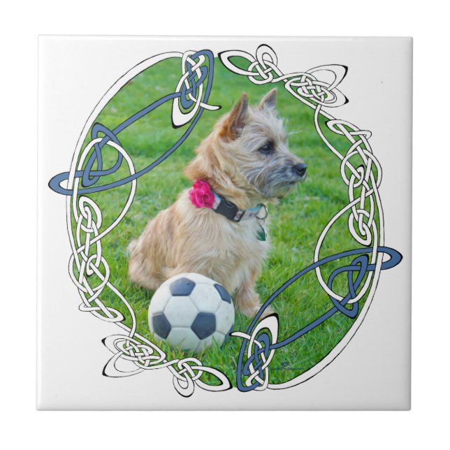 Cairn Terrier Soccer Ceramic Tile (Front)
