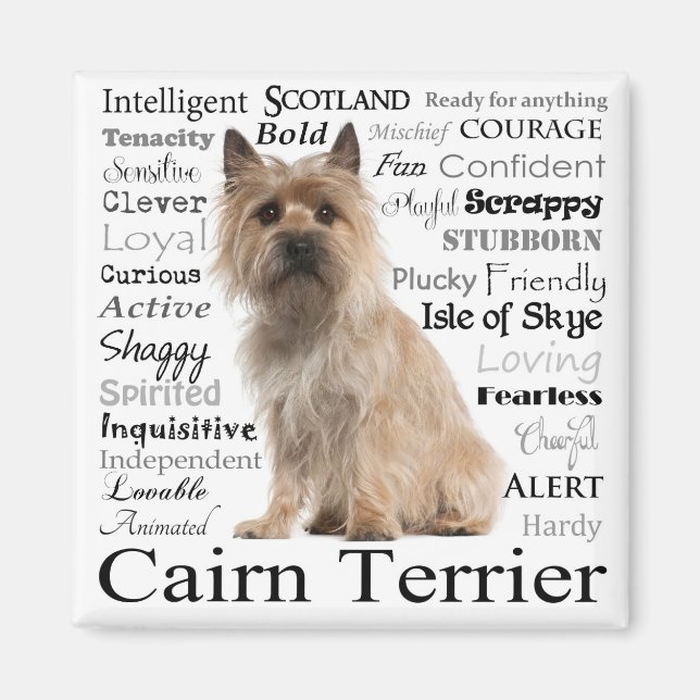 Cairn Terrier Traits Magnet (Front)