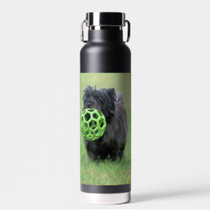 Cairn terrier  water bottle