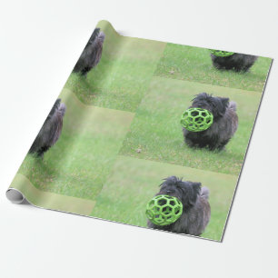 Cairn terrier  wrapping paper