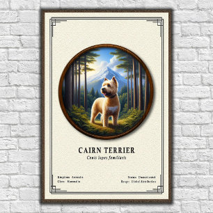 Cairn Terrier Zoology Series Poster