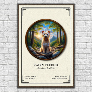Cairn Terrier Zoology Series Poster