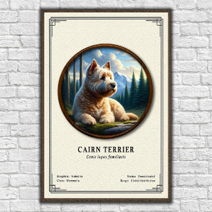 Cairn Terrier Zoology Series Poster