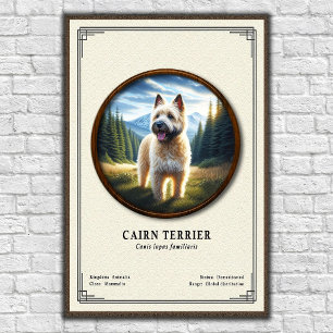 Cairn Terrier Zoology Series Poster