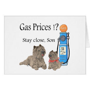 Cairn Terriers Gas Prices ?!!