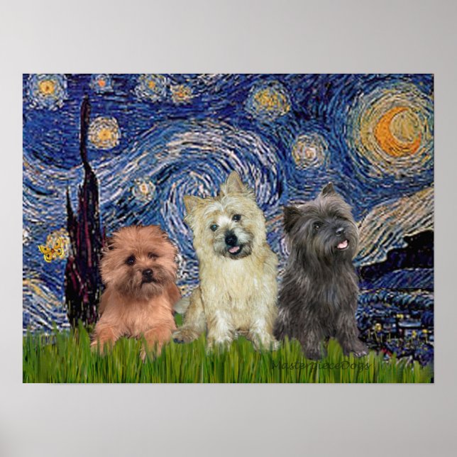 Cairn Terriers (three) - Starry Night Poster (Front)